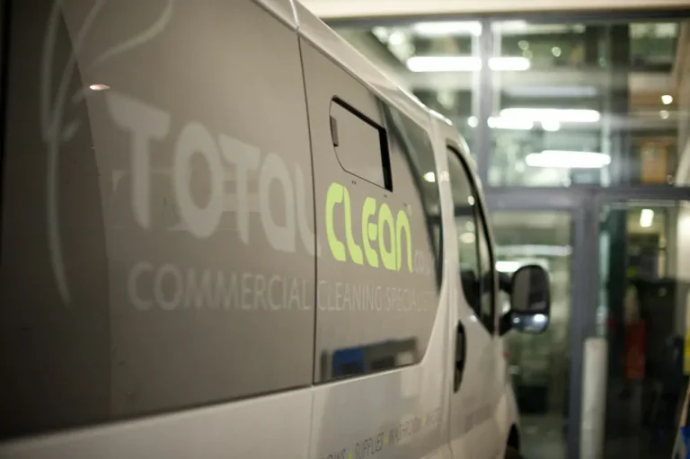eco cleaning