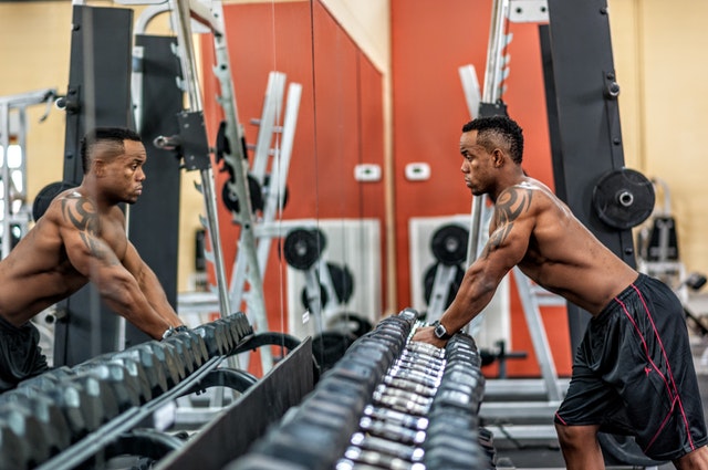 Gym Equipment in a Clean Gym