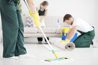 How to Choose a Cleaning Company: Professional Cleaners vs. Private Cleaners