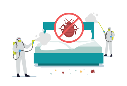 Dealing with Bed Bugs: Prevention, Identification, and Effective Eradication