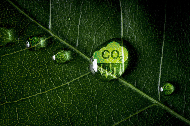 carbon zero